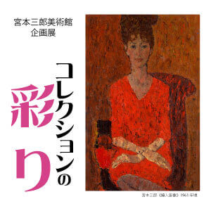 コレクションの彩り